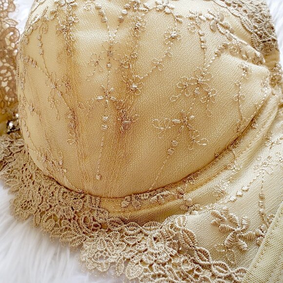 Embroidered floral lace trim bra in champagne with swarovski crystals - Picture 5 of 6